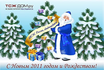 С Новым 2011 годом!