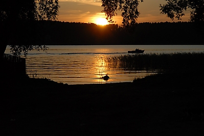 ForumSeliger2012
